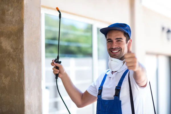Manvel Wasp Removal