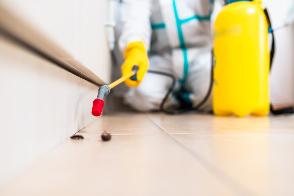 Manvel Cockroach Experts