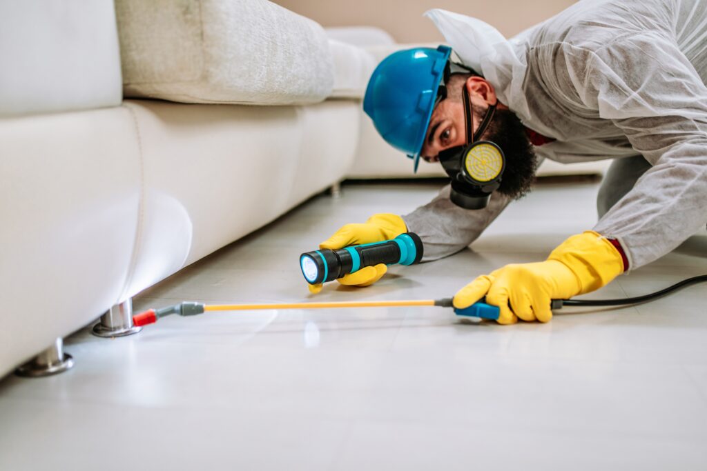 Manvel Termite Control